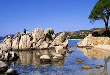 体育直播-从蒙得维的亚到多伦多，姆巴佩的越界制胜，一场超越地理的足球寓言