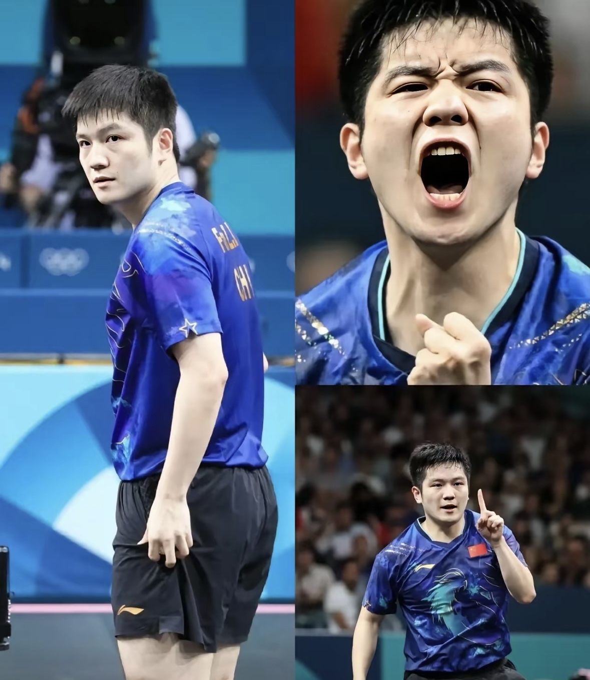 德国队轻取韩国队，樊振东状态火热的简单介绍